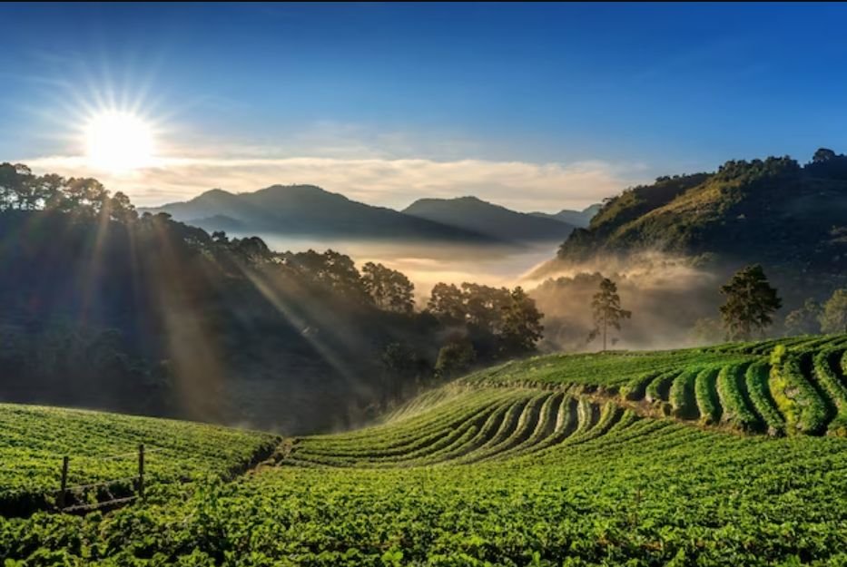 Meta Title: Best Darjeeling Vacation Plan for 3 Days Under ₹15,000 | TripLodgeUniverse darjeeling